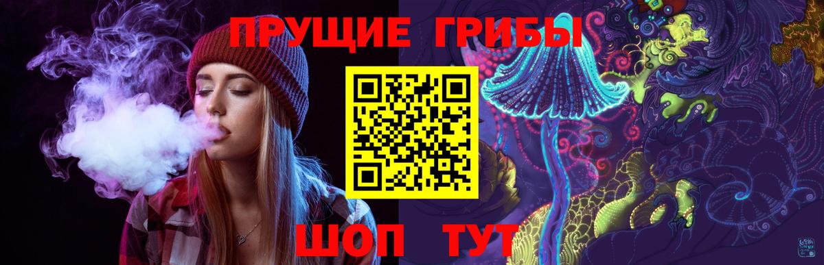Псилоцибиновые грибы Psilocybine cubensis Краснотурьинск