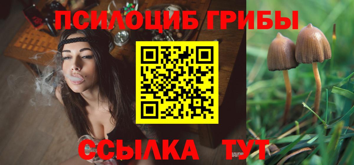 Псилоцибиновые грибы прущие грибы  Галлюциногенные грибы Cubensis  Вход с VPN  купить наркотик  Краснотурьинск 